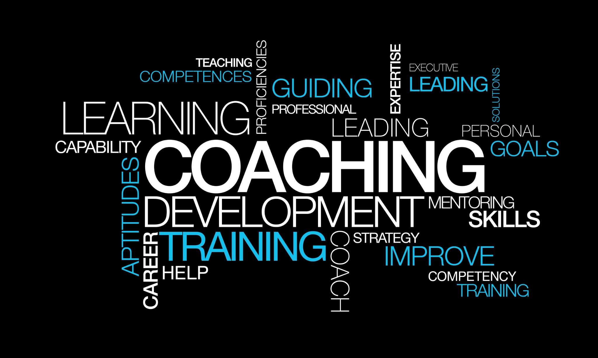 Professional coaching and workforce development concepts